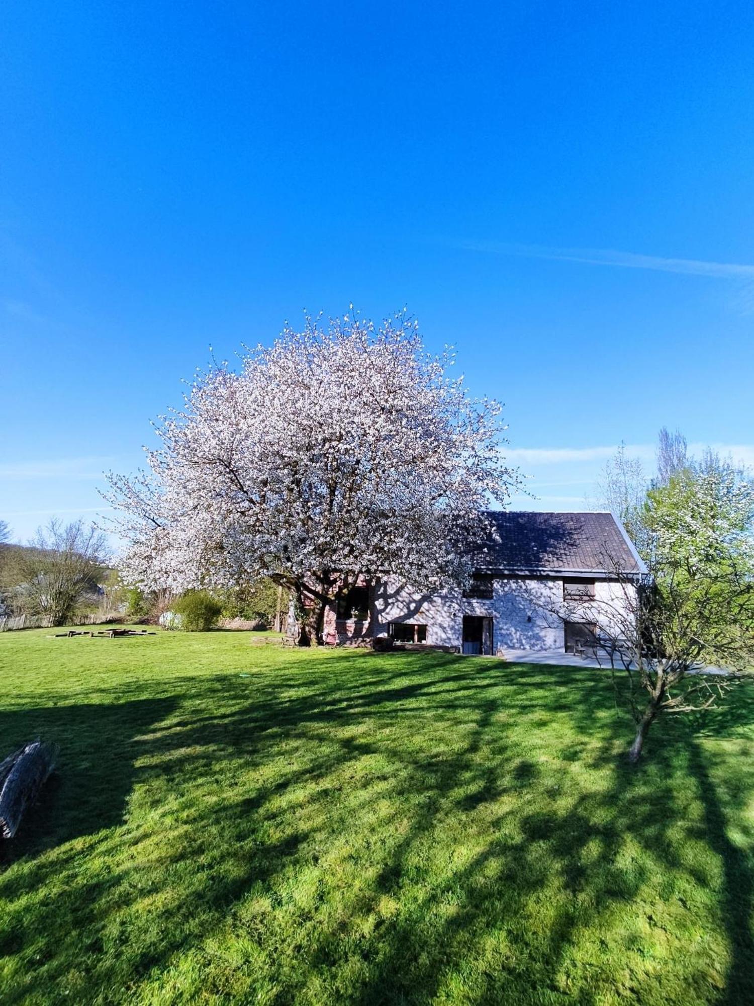 Gerestaureerde Hoeve Met Zicht Durbuy Exterior foto